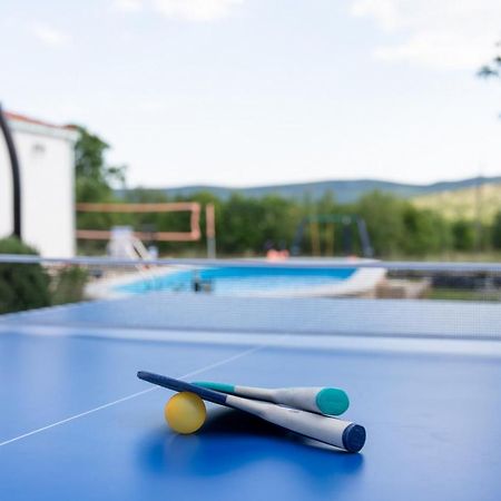 Veliki Brocanac Holiday Home Sego With Private Pool מראה חיצוני תמונה
